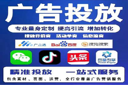 SEM服务案例：打造行业领先品牌